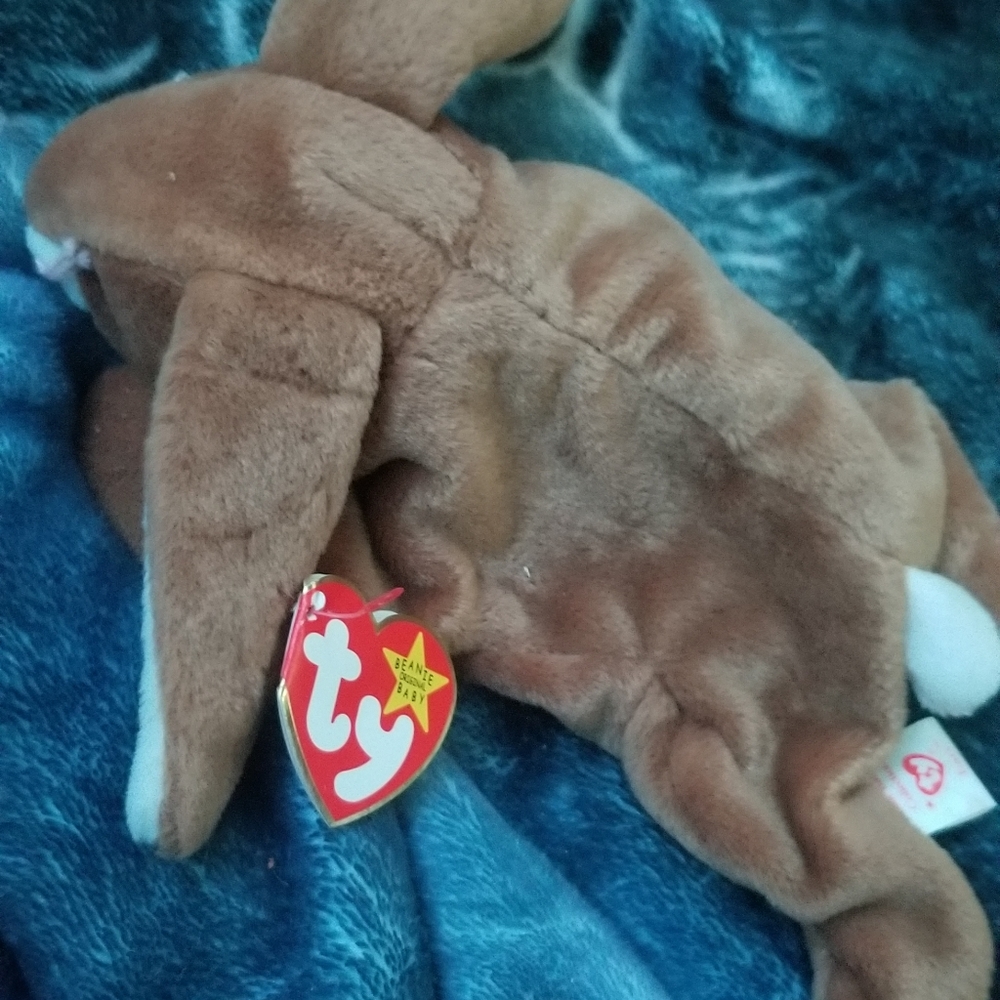 Ears beanie baby